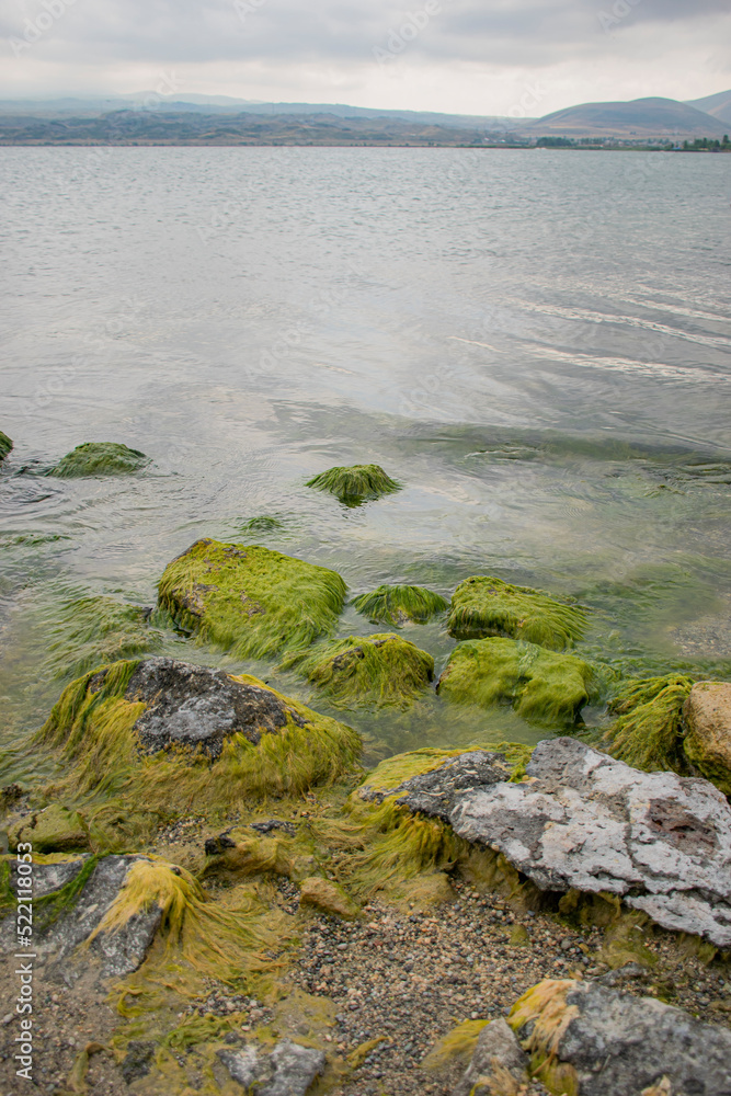 Obraz premium rocks on the beach