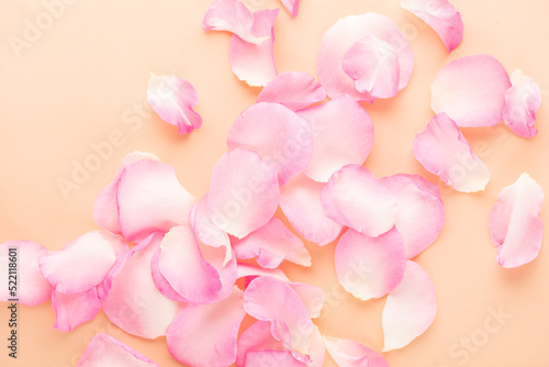Rose flowers petals on pastel background. Valentines day background. Flat lay, top view, copy space.