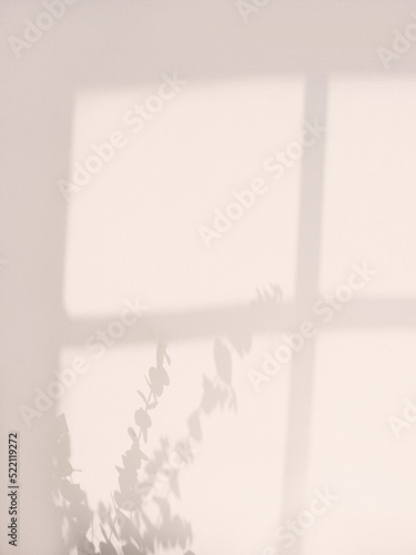 shadow of eucalyptus branch at the window on a colourful background. Nature, flora, environment concept