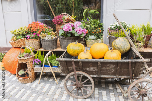 Pumpkin cart in front of the flower shop. Halloween and Thanksgiving autumn decoration with flowers in trendy rattan baskets