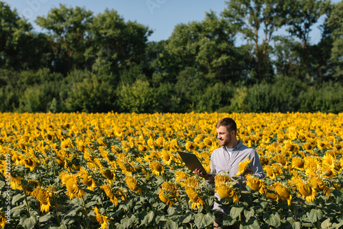 Agronomist with laptop inspects sunflower crop in agricultural field.
