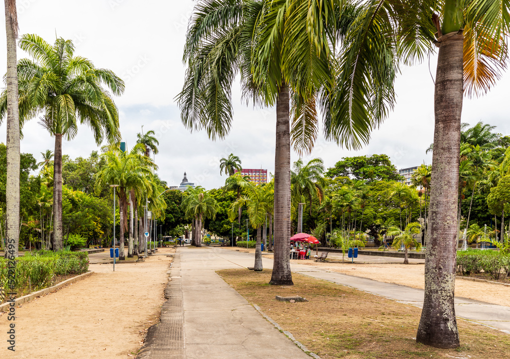 Central avenue of Treze de Maio park