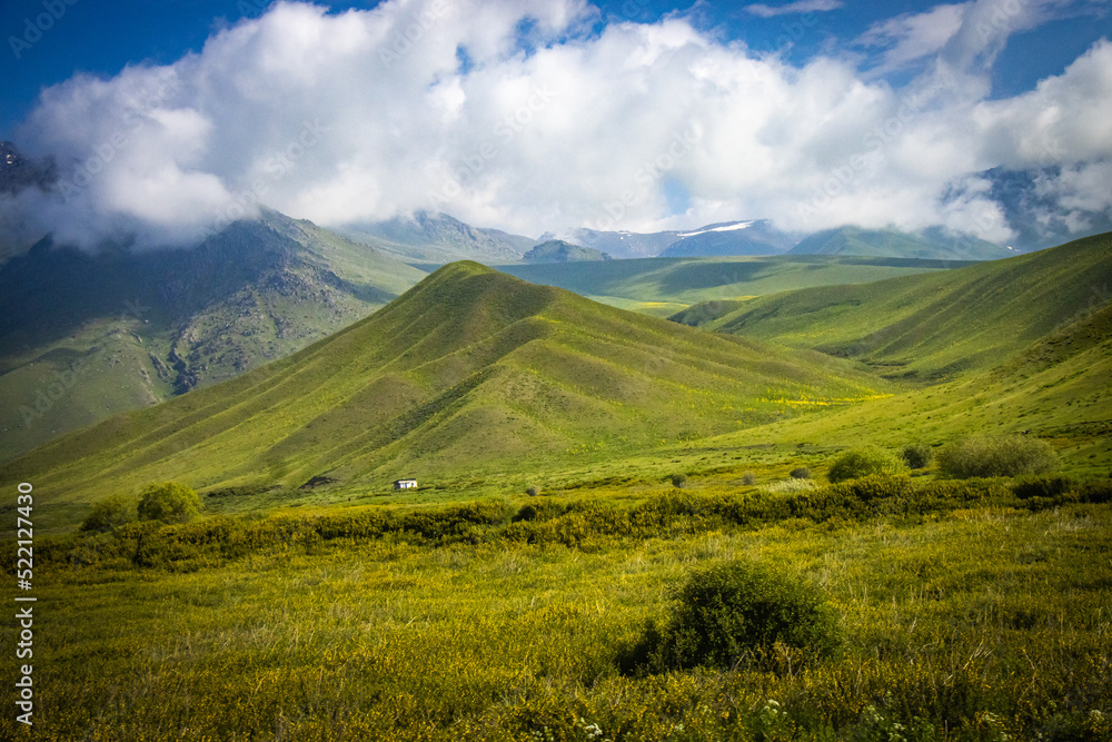 Fototapeta premium suussamyr valley in kyrgyzstan, mountain landscape, central asia, green valley, pasture