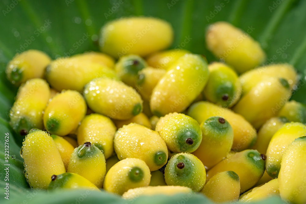 Fresh lotus seeds on a simple background