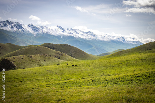 jalgyz karagay pass, mountain area in kyrgyzstan, central asia, summer pasture © Andrea Aigner