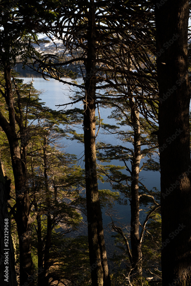 Magical view of the forest, mountains and lake in a sunny day. Magical view of the forest, mountains and lake in a sunny day.