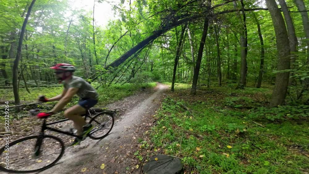 A cyclist passes under a fallen tree in the forest. A cyclist passes under a fallen tree in the forest.