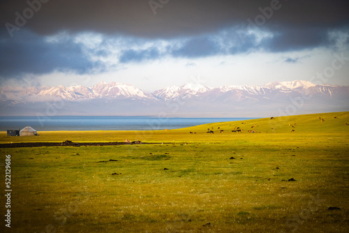 sunrise over the field, shore of song-köl lake, krygyzstan, central asia, mountains, high altitude