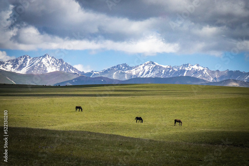 mountain landscape in kyrgyzstan, central asia, clouds, summer pasture