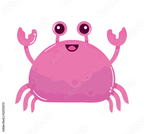 pink crab sealife animal