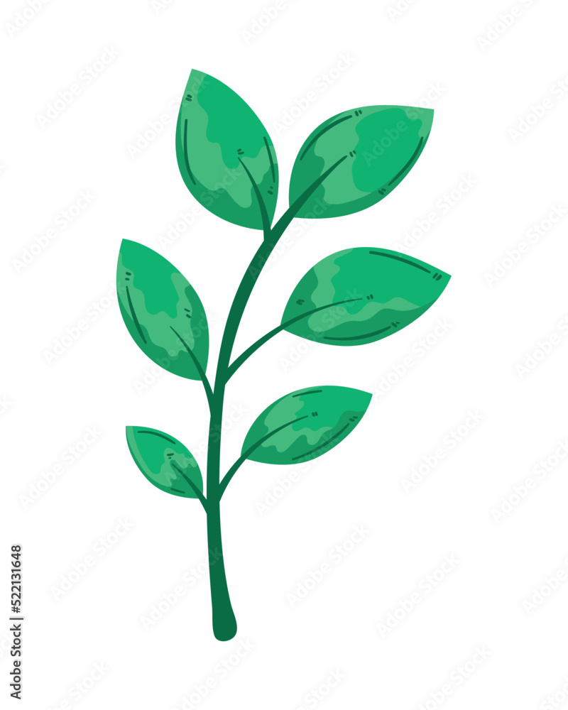 branch plant with leafs