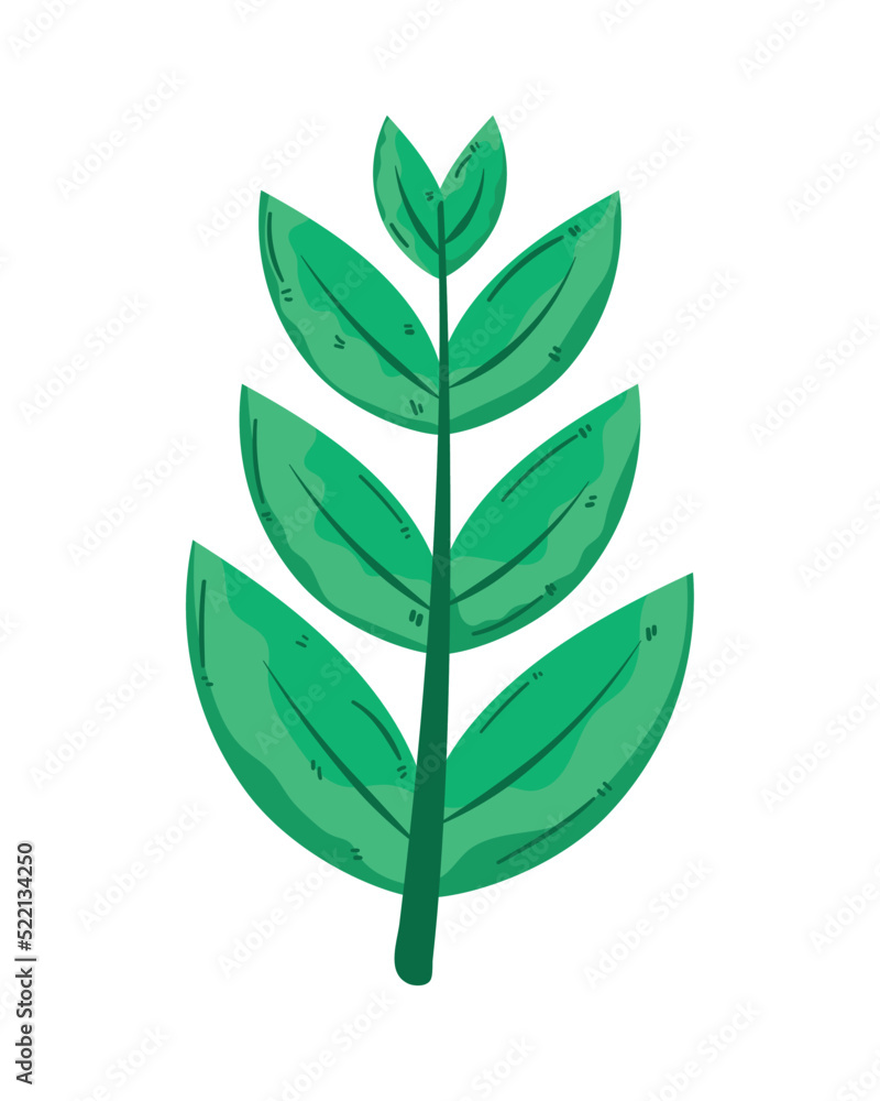 branch with leafs foliage branch with leafs foliage