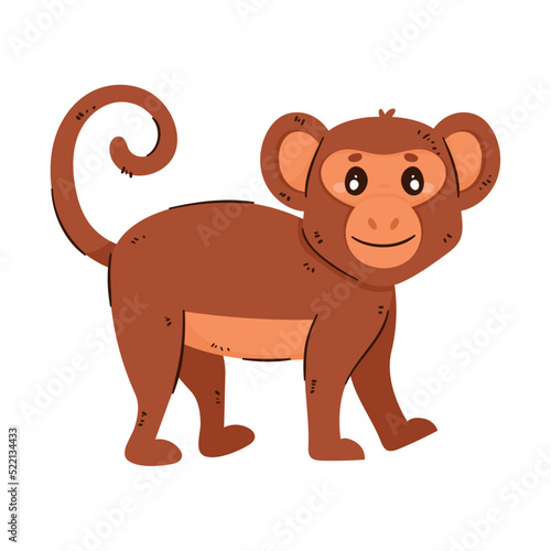 orangutan monkey animal wild