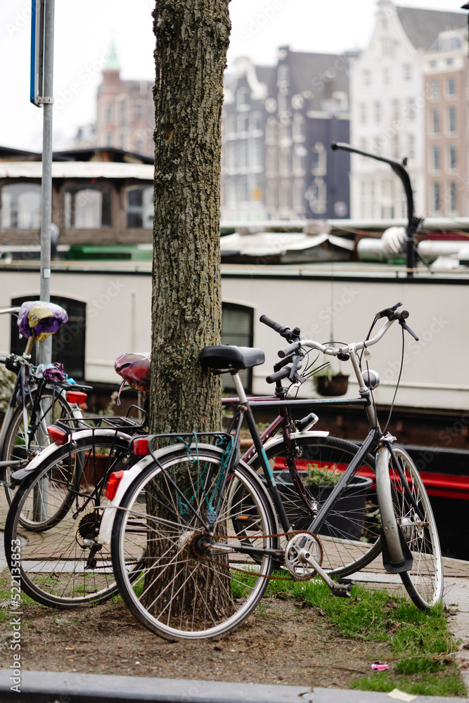 Bikes parked near tree on walkway in town Bikes parked near tree on walkway in town