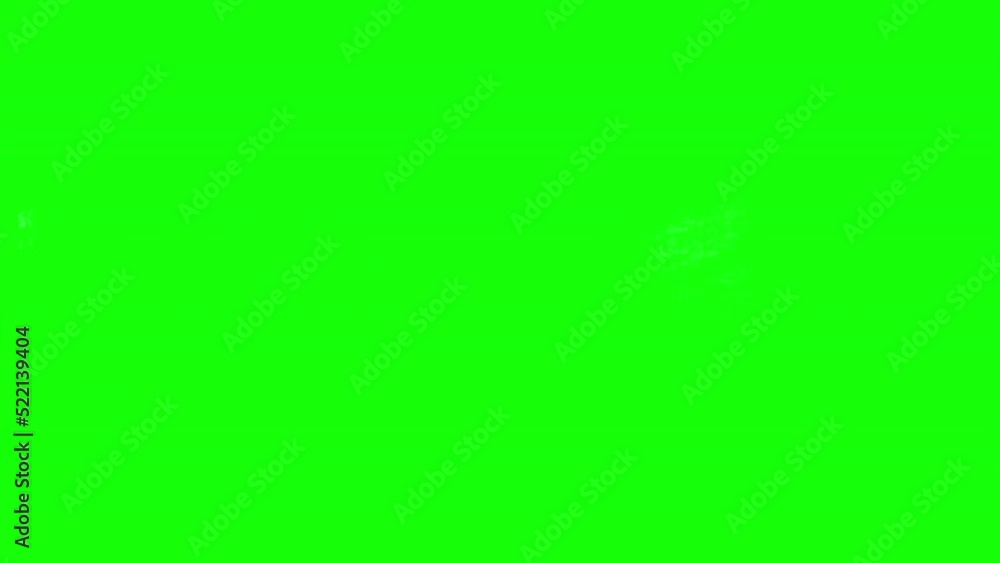 4K black and white mixed breed dog on green screen isolated with chroma key, real shot. Dog slowly walks across the frame from right to left, then walks back from left to right stops, and walks away