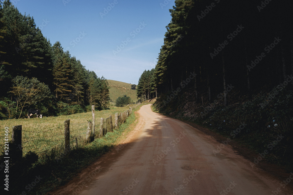 Fototapeta premium road to the mountains