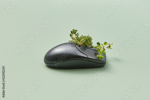 Plant growing out of computer mouse photo