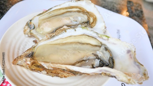 delicious oyster cuisine and dishes 