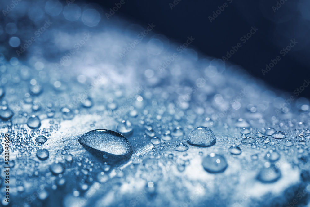 Closeup view of beautiful leaf with dew drops. Blue tone Closeup view of beautiful leaf with dew drops. Blue tone
