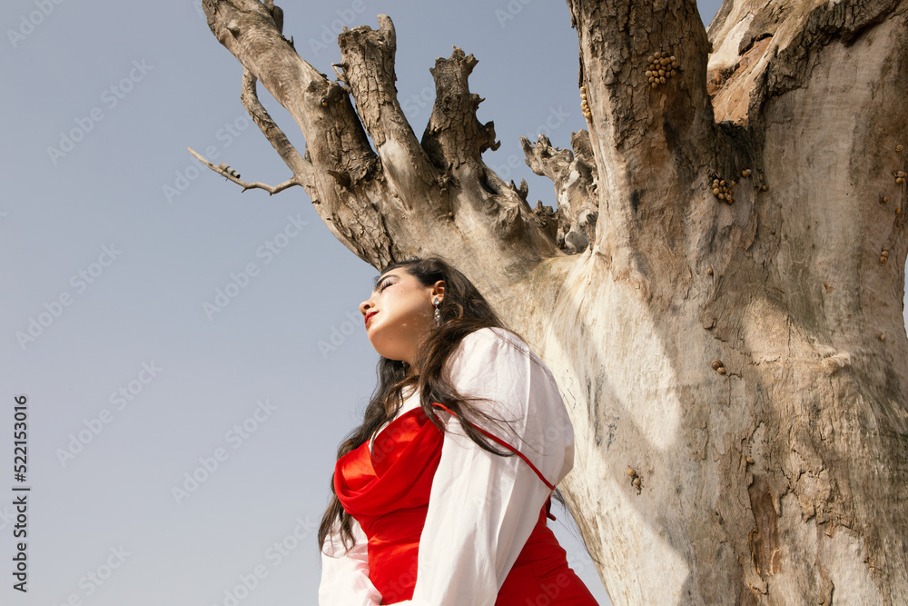 Beautiful young girl with long black hair wearing red dress in nature ...