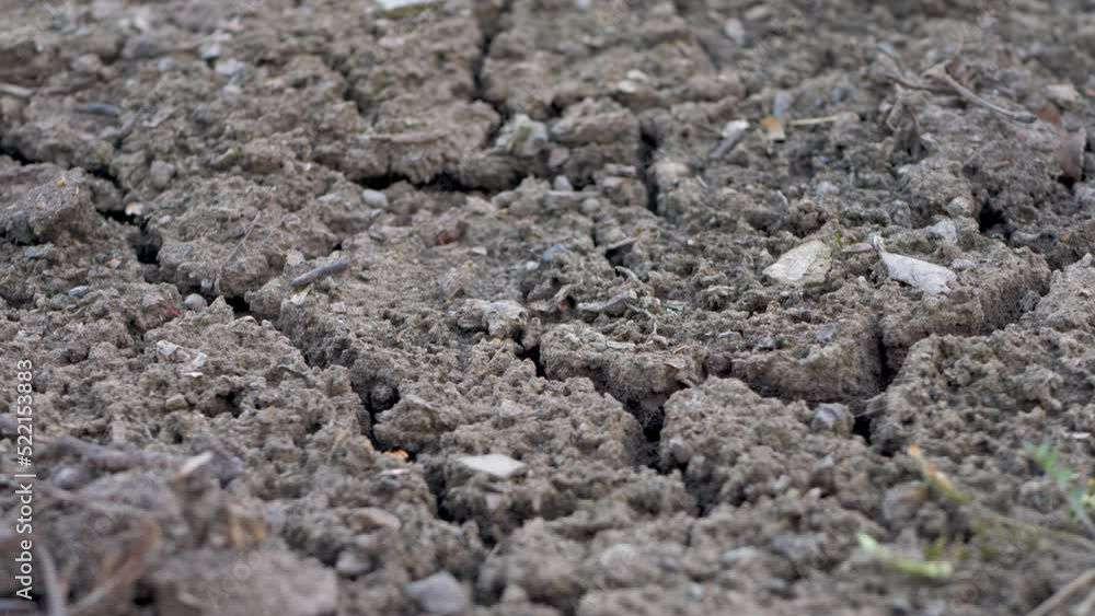 Back organic soil on field. Quality ground in garden. Drought and crisis environment. Global warming. Lifeless, waterless soil due lack of moisture Back organic soil on field. Quality ground in garden. Drought and crisis environment. Global warming. Lifeless, waterless soil due lack of moisture