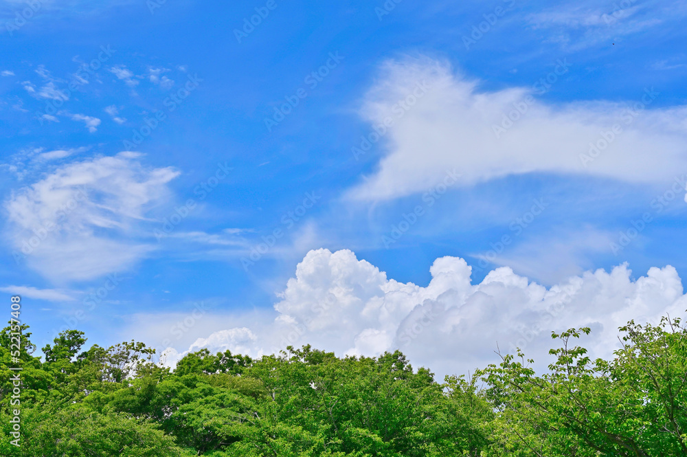 Obraz premium 湘南の真夏の空と雲