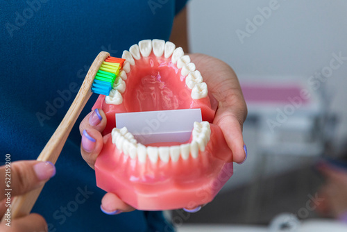Brushing teeth properly in a dental model photo