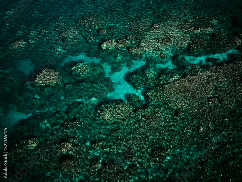 Top down view of tropical reef photo