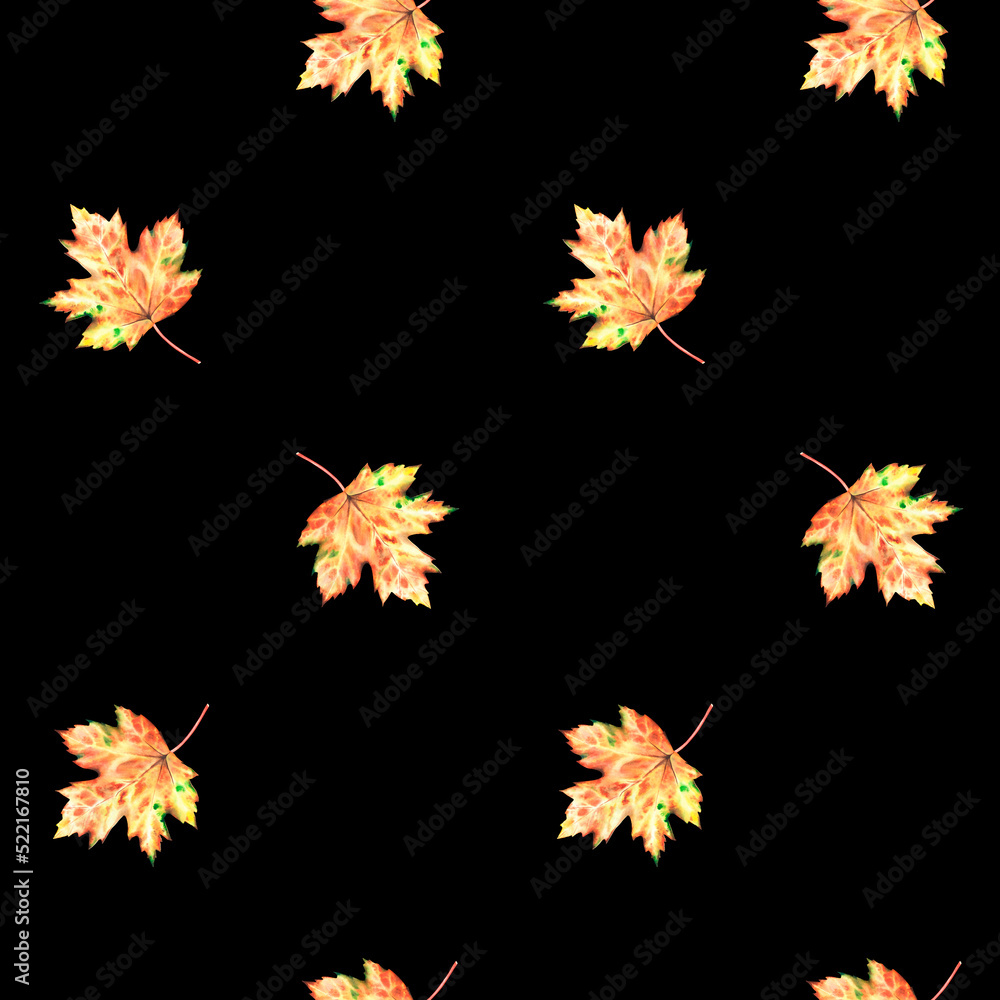 Fototapeta premium Autumn maple leaf seamless pattern. Watercolor vintage illustration. Isolated on a black background.