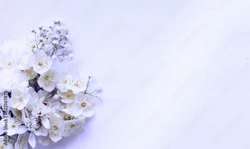 Delicate bouquet with white flowers on a white background. Delicate floral arrangement. Background for a greeting card. Delicate bouquet with white flowers on a white background. Delicate floral arrangement. Background for a greeting card.