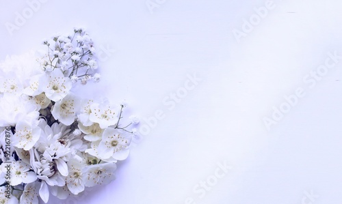 Fototapeta Naklejka Na Ścianę i Meble -  Delicate bouquet with white flowers on a white background. Delicate floral arrangement. Background for a greeting card.
