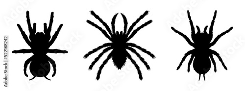 Print op canvas tarantula icon