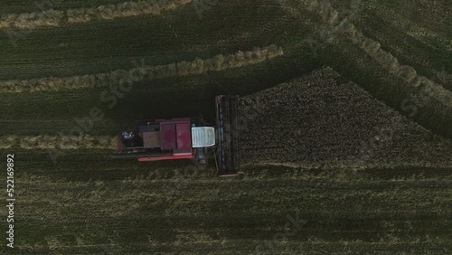 Combine Harvester on Wheat harwesting in field. Wheat and corn markets in crisis world’s breadbasket. Wheat import, maize (corn). Crop prices in food crisis. Global food inflation and hunger.  photo