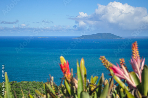 Beautiful view of Ilha do Arvoredo (Grove Island) from Bombinhas, Santa Catarina state, Brazil. Colorful flowers in a beautiful sunny day. Defocused foreground photo
