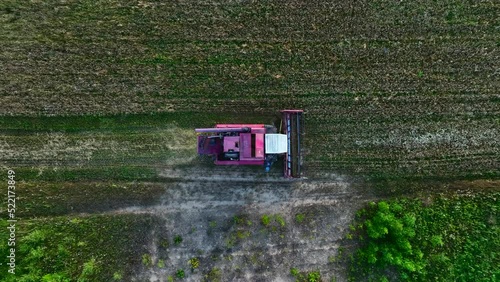 Combine Harvester on Wheat harwesting in field. Wheat and corn markets in crisis world’s breadbasket. Wheat import, maize (corn). Crop prices in food crisis. Global food inflation and hunger.  photo