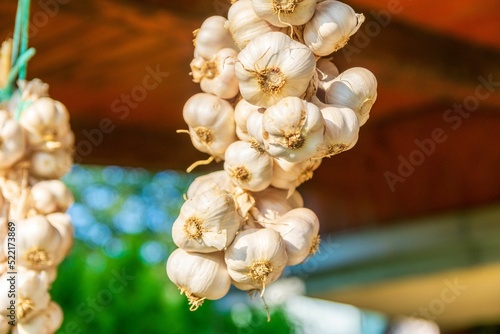 Close-up of garlic braids with whole bulbs plaited together by the stems photo