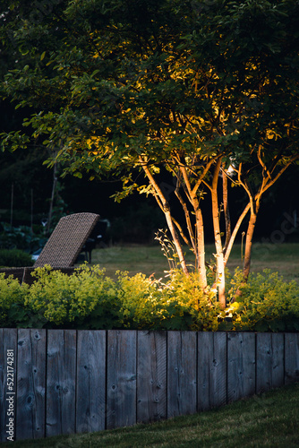 Uplit trees in a landscaped garden at dusk