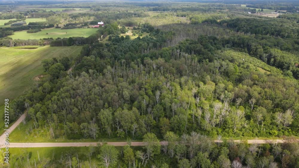 Forest of trees from high in the air. Forest of trees from high in the air.