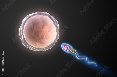 Принти на полотні Digital technology human sperm swimming to the female ovum on black background, 3d Rendering Image
