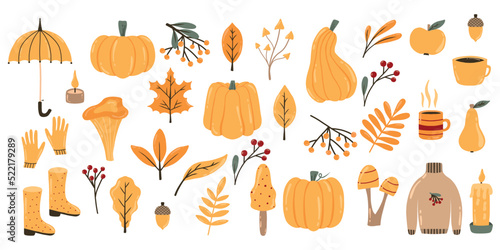 Autumn set of elements. Collection with autumn leaves, pumpkins, mushrooms, berries and more. Vector illustration. Hello, Autumn.