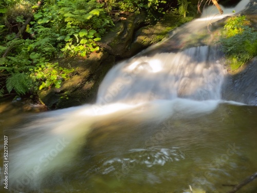 Waterfall in the forest art