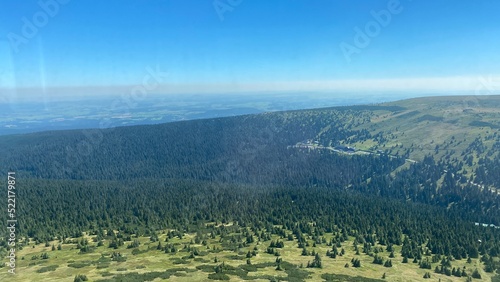 Forest in the mountains
