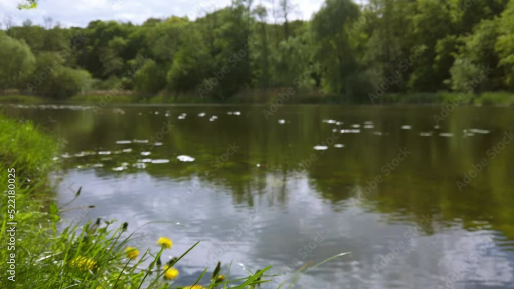 Wide view on a lake in the middle of the park. Relaxing scene of nature Wide view on a lake in the middle of the park. Relaxing scene of nature