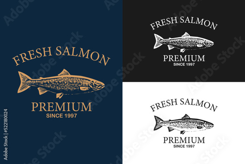 Salmon logo template. Fish logo vector. Fresh fish logo concept. Animal logo vector. seafood retro hipster vintage label badge vector sticker download