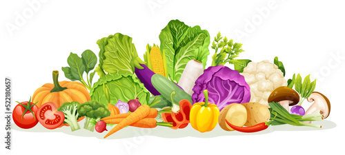Set of various kinds of vegetable illustrations