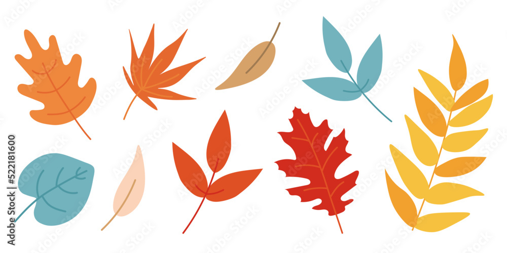Fototapeta premium Autumn leaves set isolated on white background