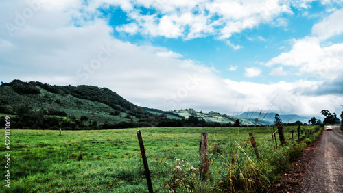 vineyard in the mountains