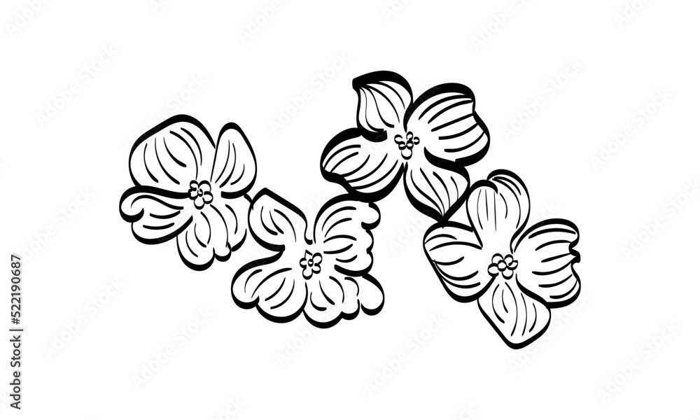 Fototapeta premium Black silhouettes, flowers and herbs isolated on white background. Hand drawn sketch flower