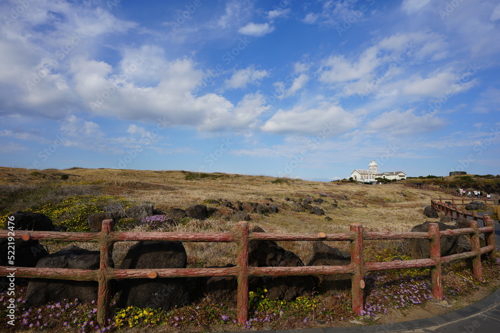 Fototapeta premium seaside meadow and beautiful house