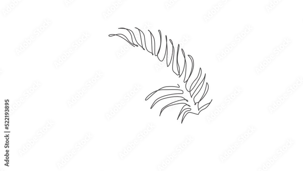 Animated self drawing of one continuous line draw tropical palm faux areca leaf. Minimal organic natural eco concept. Home wall decor, poster, tote bag, fabric print. Full length single line animation Animated self drawing of one continuous line draw tropical palm faux areca leaf. Minimal organic natural eco concept. Home wall decor, poster, tote bag, fabric print. Full length single line animation